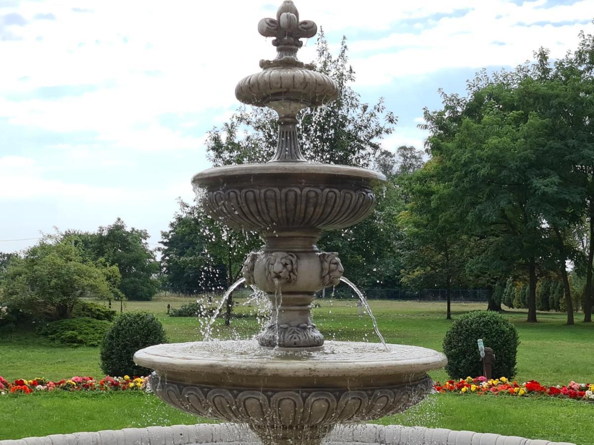 Palac Henrykow Szprotawa Luaran gambar